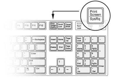Как сделать скрин экрана на ноутбуке windows 7
