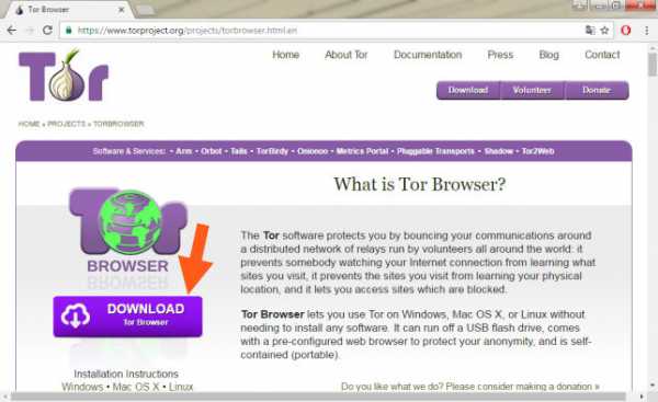 tor browser не устанавливается vista mega