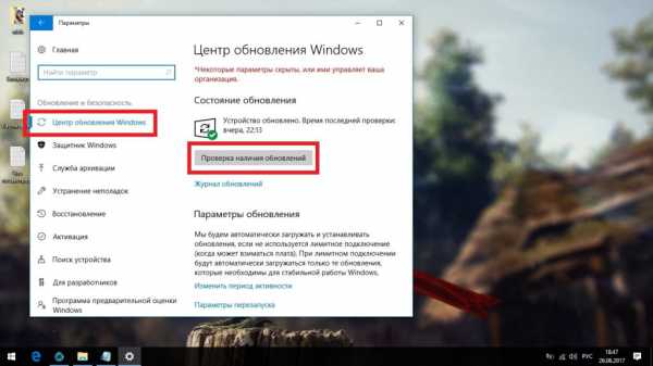 Не удалось запустить драйвер экрана windows 10 будет использоваться базовый