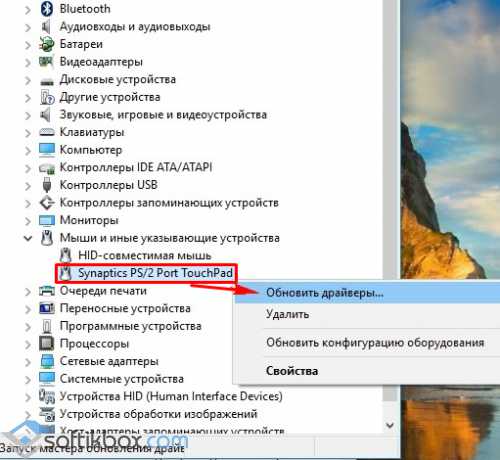 Windows 10 зависает тачпад